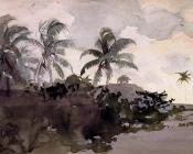 Coconut Palms - 温斯洛·荷默